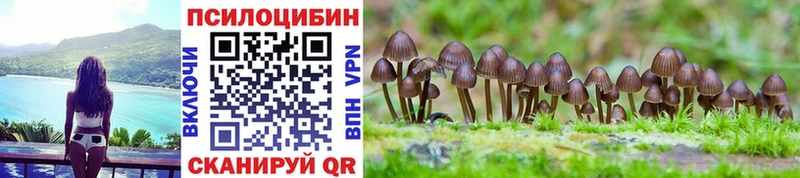 Галлюциногенные грибы Psilocybe  Цоци-Юрт 